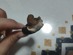 -薛记炒货(文化东店)