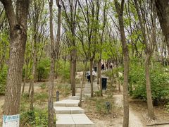 -南翠屏公园