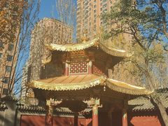 -护国法轮寺