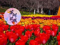 -苏州上方山国家森林公园
