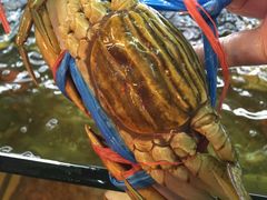 -鑫悦楼煎蟹·16年海鲜大排档