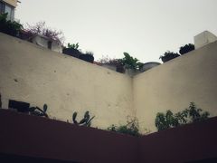 -二中酸辣汤(无锡梁溪区店)