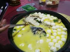 -柘林湖生态鱼馆