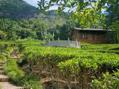 -姑婆山旅游区