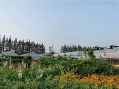 -前小桔亲子创意农场·草莓采摘·露营烧烤