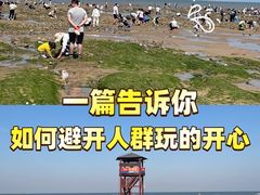 -日照灯塔风景区