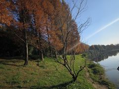 -贵阳市花溪国家城市湿地公园