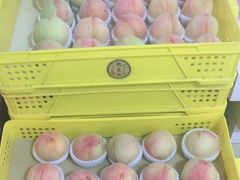 -老袁家蜜桃农场·阳山水蜜桃