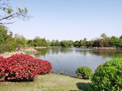 -桃花岛景观公园