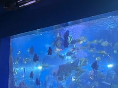 -重庆欢乐海底世界