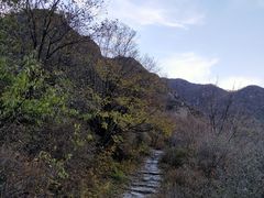 -阳台山自然风景区