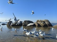 -老虎石海上公园