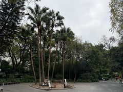 -柳侯公园