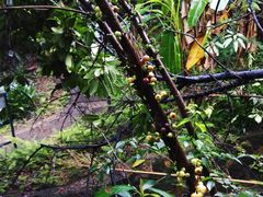 -鱼库·不仅是一家烤鱼店(车公庙店)