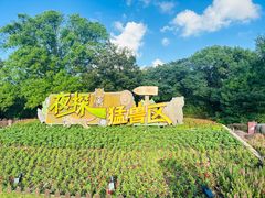 -上海野生动物园