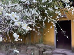 -北寺塔