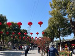 -仙岳公园