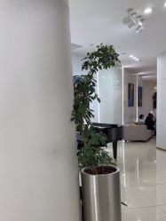 -AIST爱思特医疗美容医院