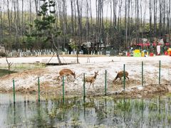 -佛手湖郊野公园