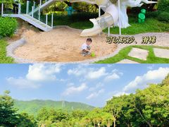 -银湖山郊野公园-相思林