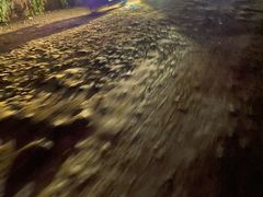-长虫山生态公园风景林