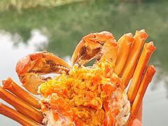 -欢乐蟹庄·精品农家乐(阳澄湖莲花岛店)