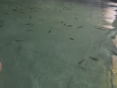 -三江森林温泉度假区