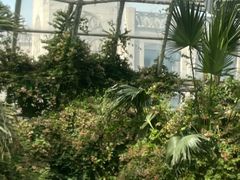 -盛泰恐龙谷温泉