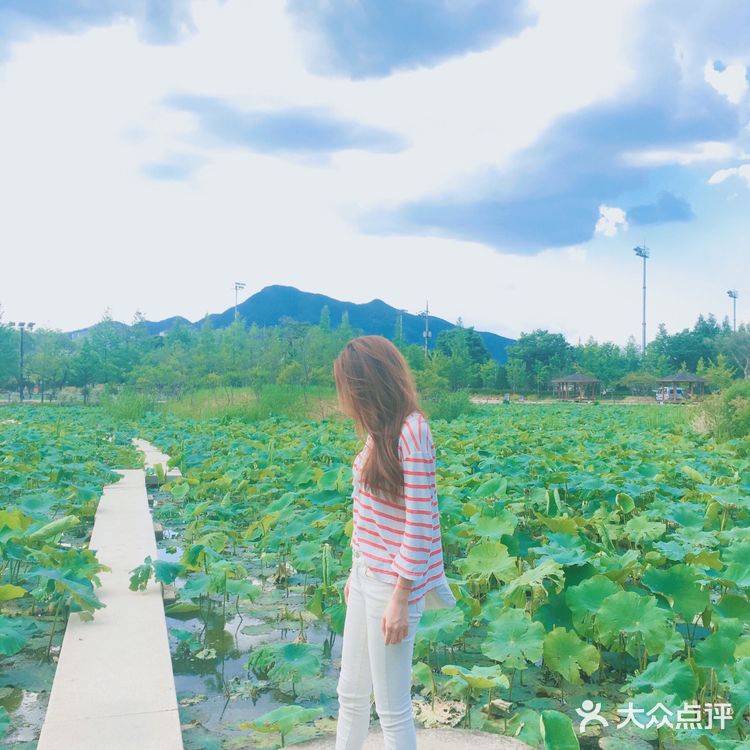 京畿道📍세미원 🚴‍♀️周末骑行