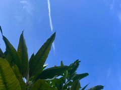 -72街红烧排骨饭(海珠丽影广场店)