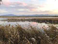 -野鸭湖国家湿地公园