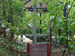 -太阳宫公园