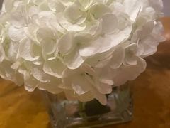 -澳门十六浦索菲特大酒店