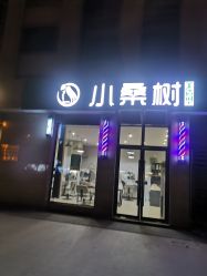 -小桑树染烫改变专门店