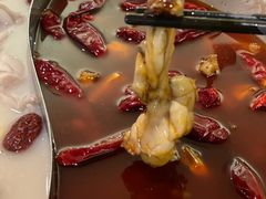 -麻田会 ·鲜活现烹·牛蛙火锅(珠江新城维家思广场店)