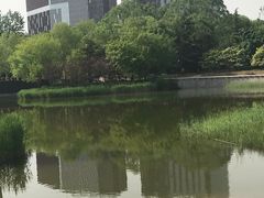 -大望京公园