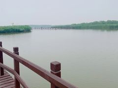 -西青郊野公园