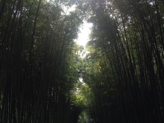 -上海市龙华烈士陵园