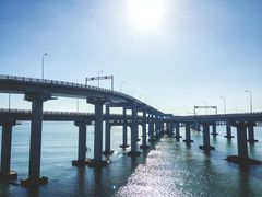 -星海湾跨海大桥