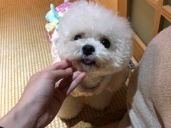 -伽利略剧本探案馆(国贸店)