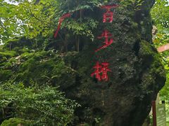 -花溪公园