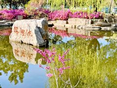 -羊亭河湿地公园