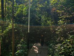 -水濂山森林公园