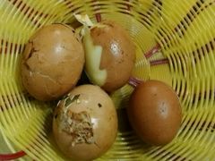 -吉顺坑烤