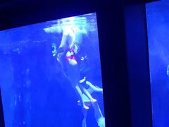 -北海市海滨公园