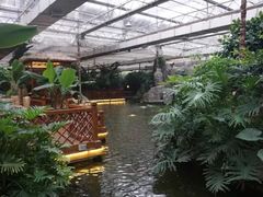 -汤山翠谷生态餐厅