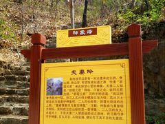 -老象峰