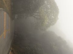 石门国家森林公园-广州市石门国家森林公园