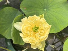 -云溪植物园