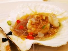 元贝-益利大酒楼(井岸店)
